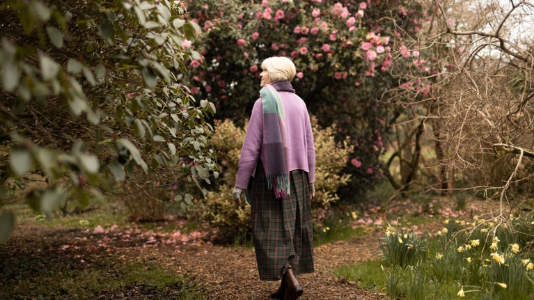 A visitor among early spring blooms at Buckland Abbey